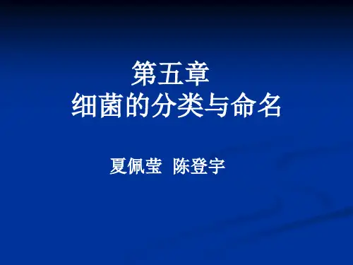 细菌的分类与命名