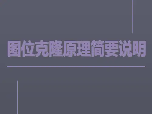 图位克隆原理