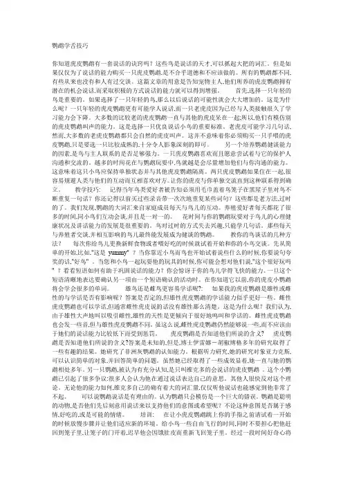 鹦鹉学舌技巧