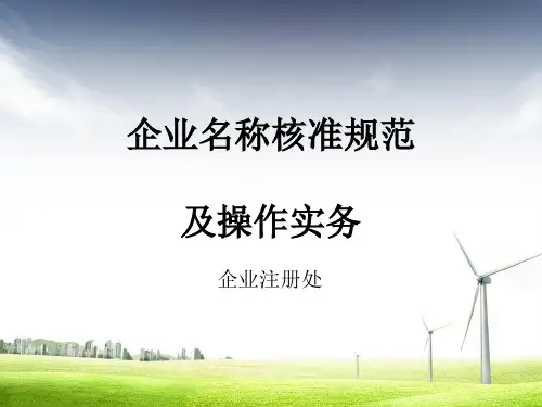 企业名称核准规范及操作实务