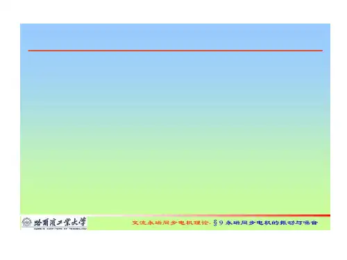 永磁同步电机振动与噪音31页PPT