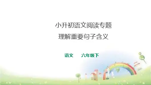 小升初语文阅读 理解句子含义专题训练课件 精品