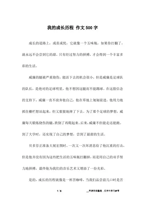 我的成长历程 作文500字