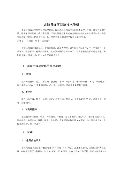 红枣栽培技术 2