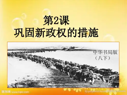 巩固新政权的措施 PPT