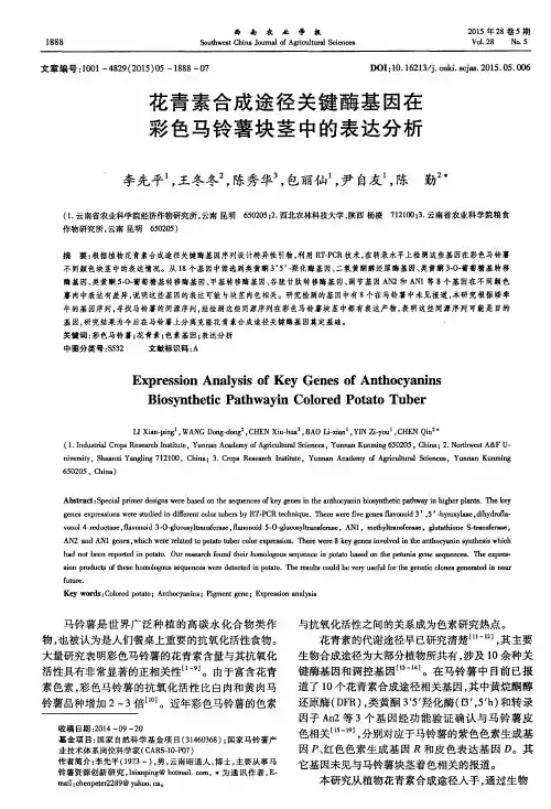 花青素合成途径关键酶基因在彩色马铃薯块茎中的表达分析