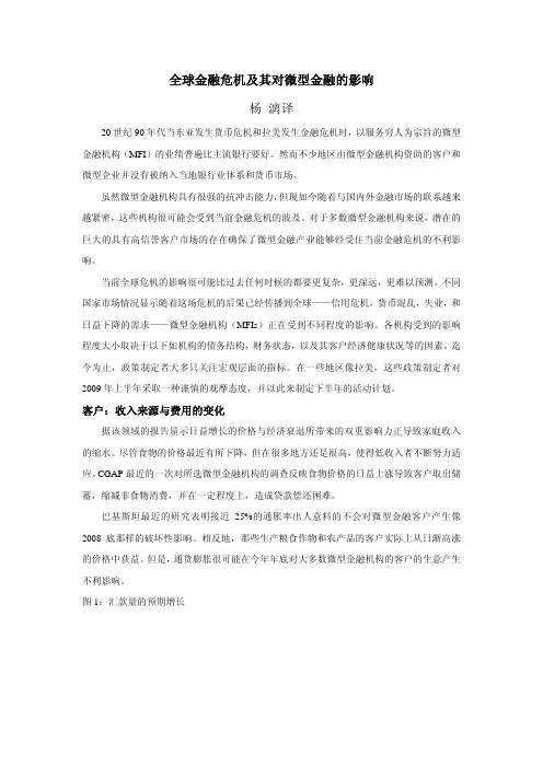 全球金融危机及其对微型金融的影响_贷帮