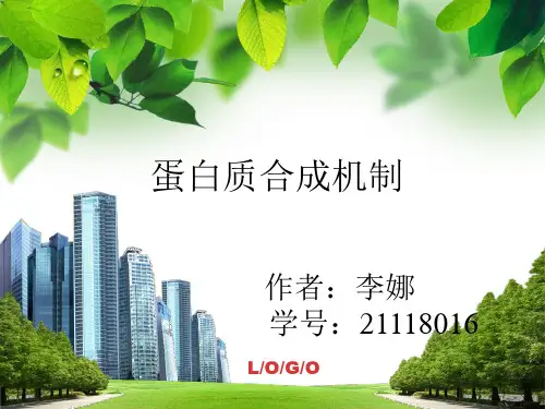蛋白质合成机制