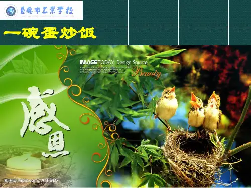 一碗蛋炒饭