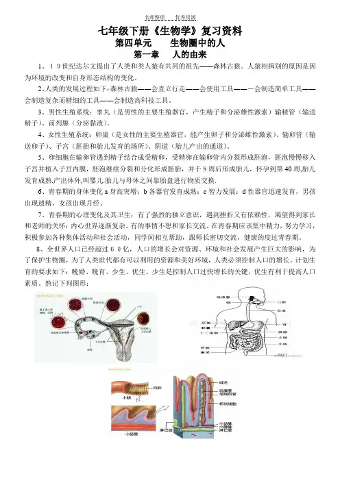 七年级生物下复习资料