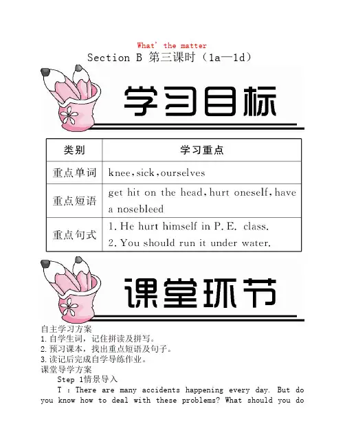 八年级英语下册 Unit 1 What’s the matter Section B(第3课时)教案 (新版)人教新目标版