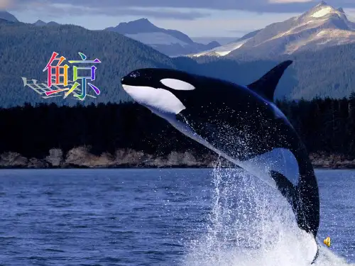 人教版小学语文：9 鲸 课件1(五年级上)