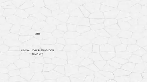 简约欧式风格静态PPT模板欧美风创意极简商务报告总结商业通用wps (47)