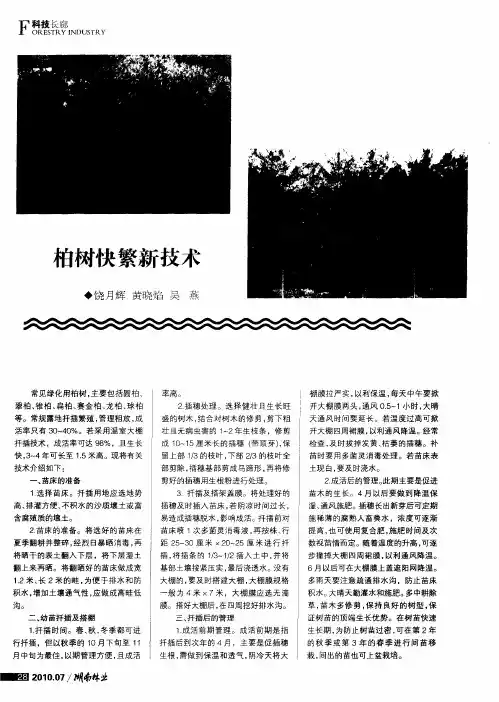 柏树快繁新技术