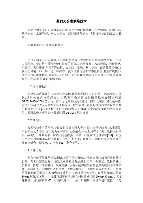 茭白无公害栽培技术