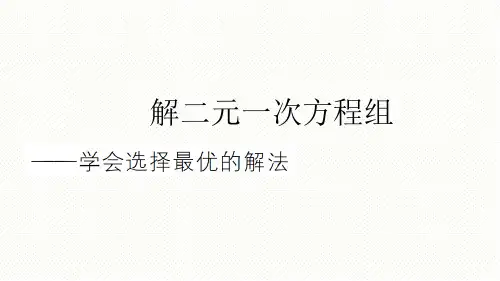 解题技巧专题:解二元一次方程组