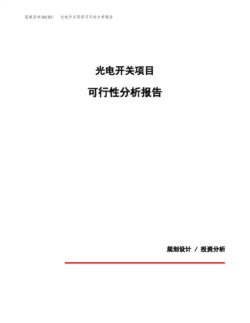 光电开关项目可行性分析报告(模板参考范文)
