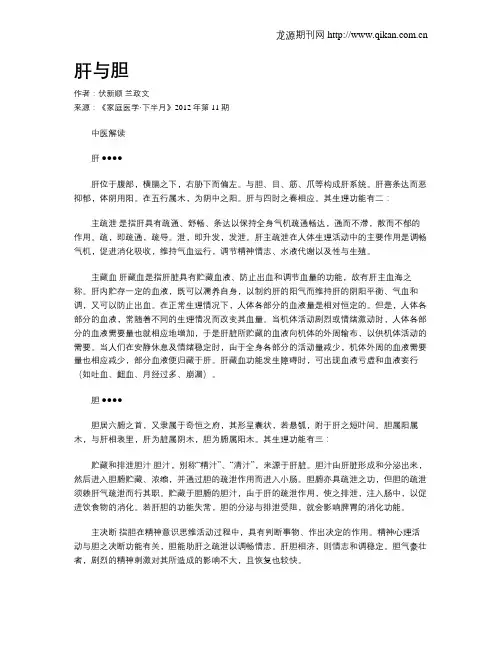 肝与胆