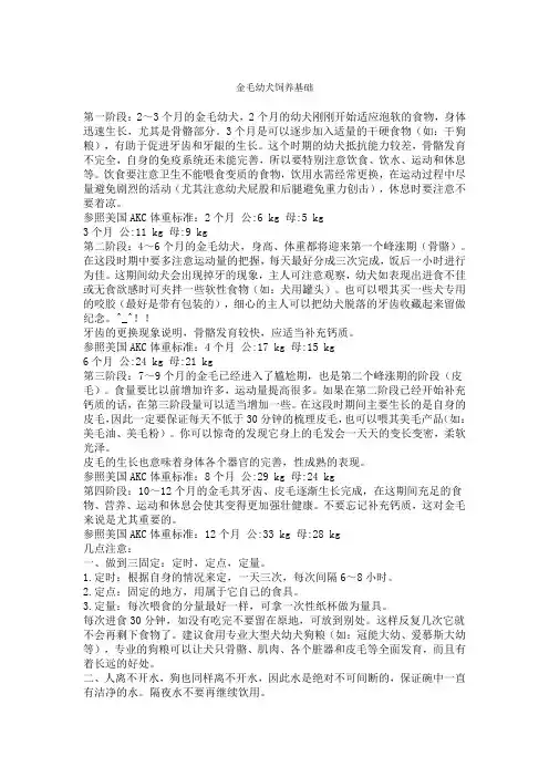 金毛幼犬饲养基础
