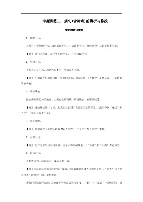 专题训练三 病句(含标点)的辨析与修改