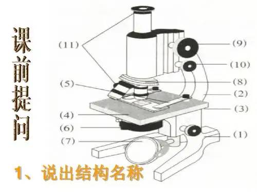 浙江省诸暨市店口镇中心学校浙教版七年级科学上册2.2.1 临时装片的制作和植物细胞的观察 课件