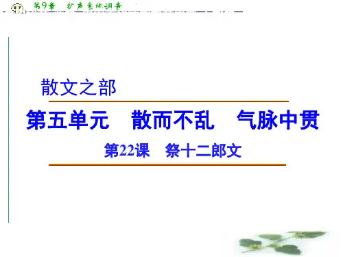 高中语文 5.3 祭十二郎文课件 新人教选修《中国古代诗歌散文欣赏》