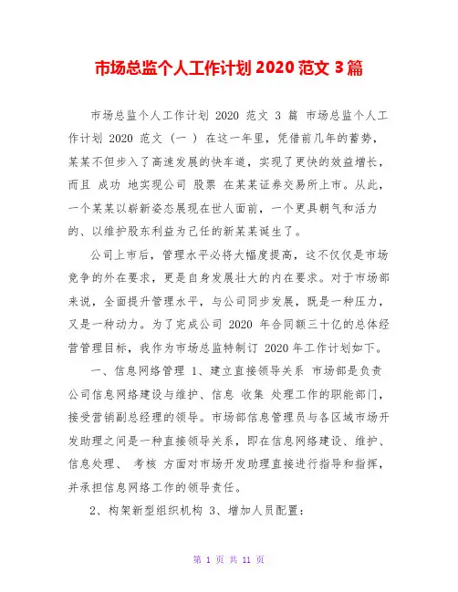 市场总监个人工作计划2020范文3篇