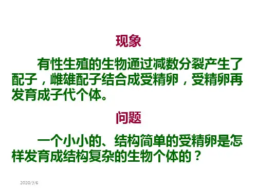 生命的个体发育