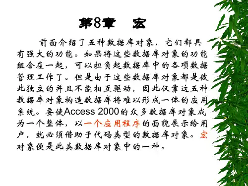 第8章 宏对象