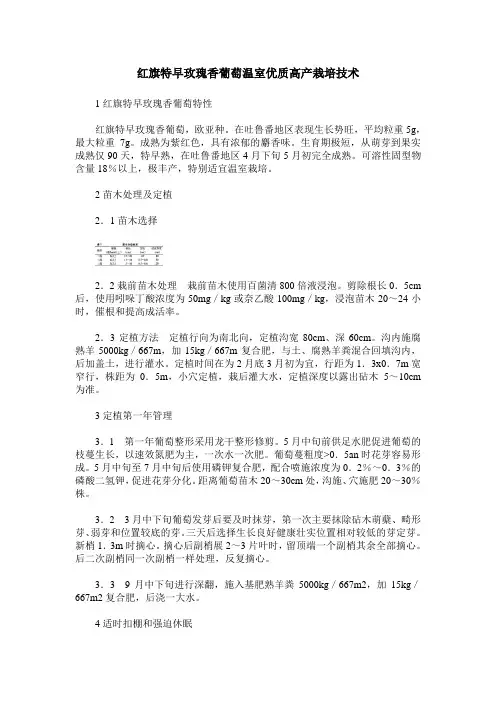 红旗特早玫瑰香葡萄温室优质高产栽培技术