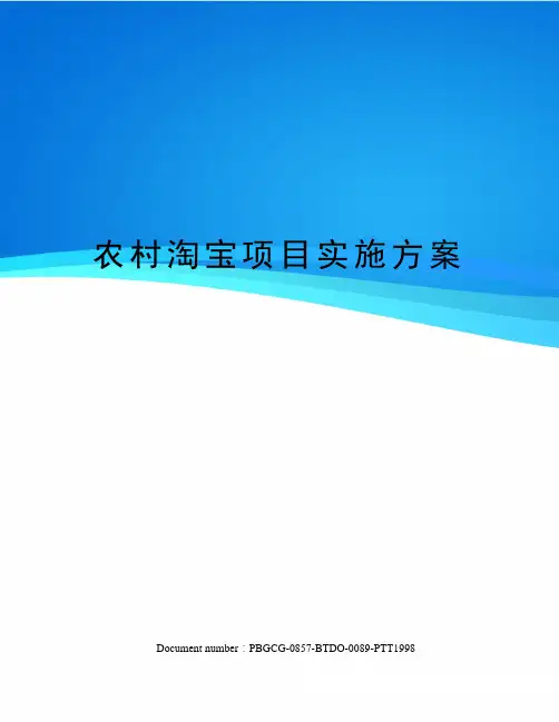 农村淘宝项目实施方案
