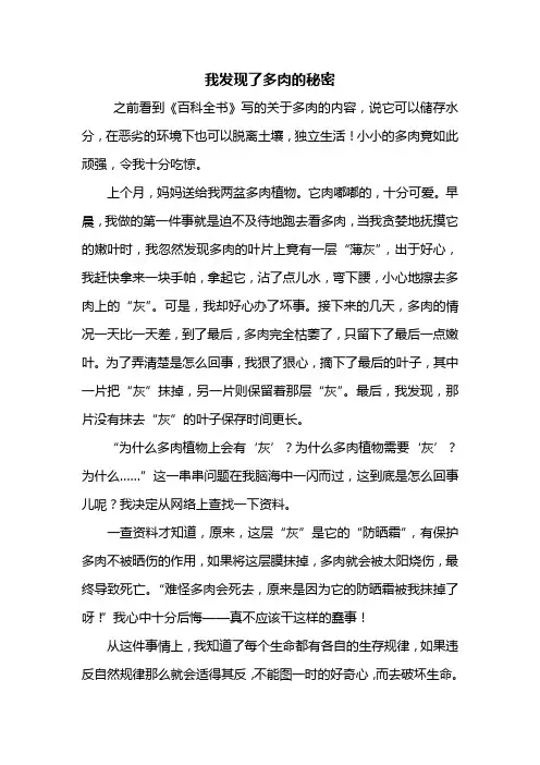 四年级作文：我发现了多肉的秘密作文500字