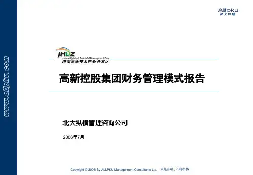 北大纵横—济南高新区战略规划—财务管理模式报告-0731