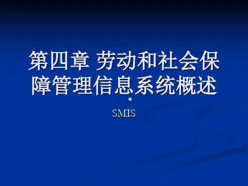 第四章劳动和社会保障管理信息系统概述