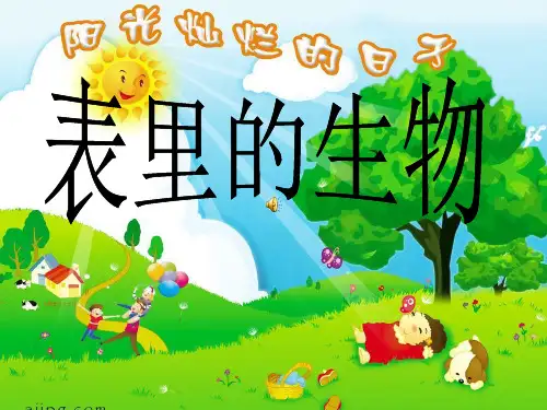 人教部编版《表里的生物》详解课件1