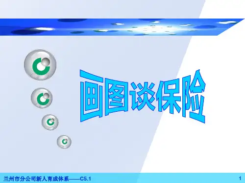 C5.1画图谈保险