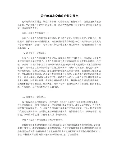 关于治理小金库自查报告范文