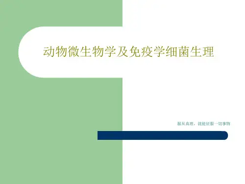 动物微生物学及免疫学细菌生理42页PPT