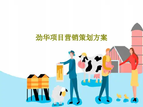 劲华项目营销策划方案42页PPT