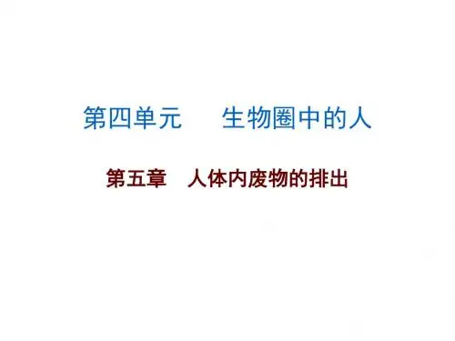 广东中考必备初中生物中考复习课件 第4单元 第五章