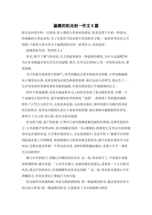 温暖的阳光初一作文5篇
