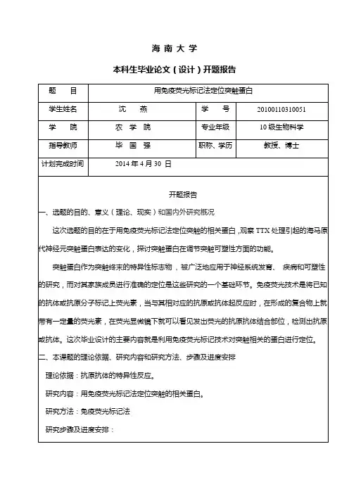开题报告  标准格式 范文 模板