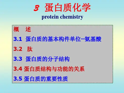 生物化学 蛋白质化学-氨基酸和多肽