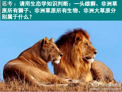 人教版生物《生态系统的结构》ppt1