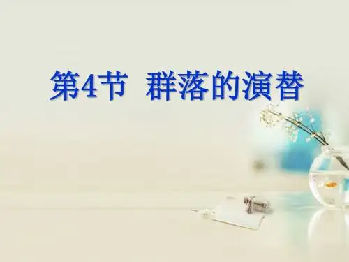 高中生物《第四章第四节群落的演替》课件6新人教版必修3-PPT文档资料