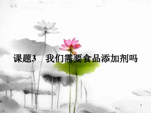 高中化学 主题2 摄取益于健康的食物 2.3 我们需要食品添加剂吗课件 鲁科版选修1