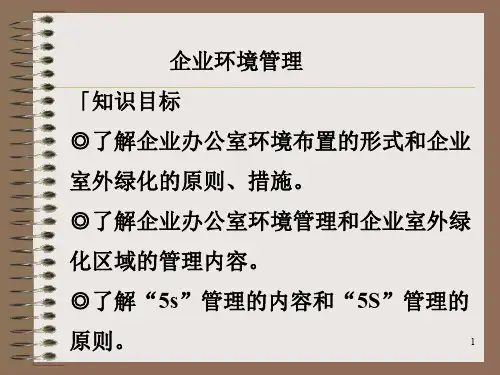 第20 企业环境和管理