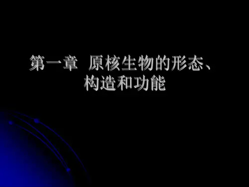 第一章 原核生物