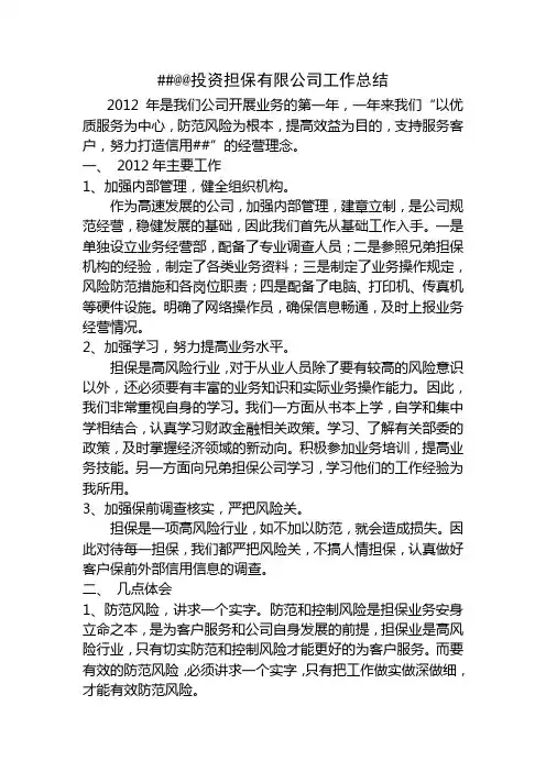 担保公司年终总结