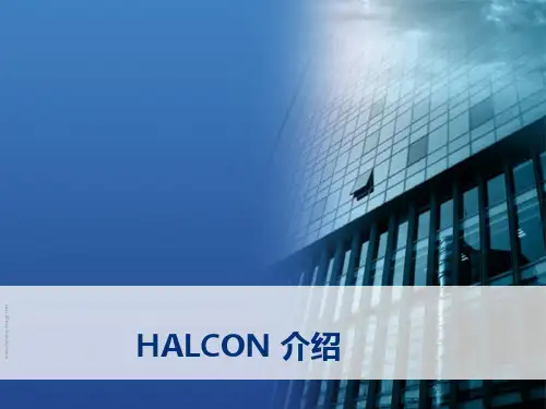 halcon介绍